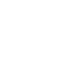 trinity transparent